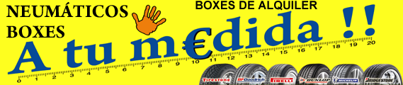 Neumáticos Boxes a tu Medida